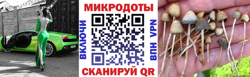 Купить  Менделеевск  Галлюциногенные грибы ЛСД 